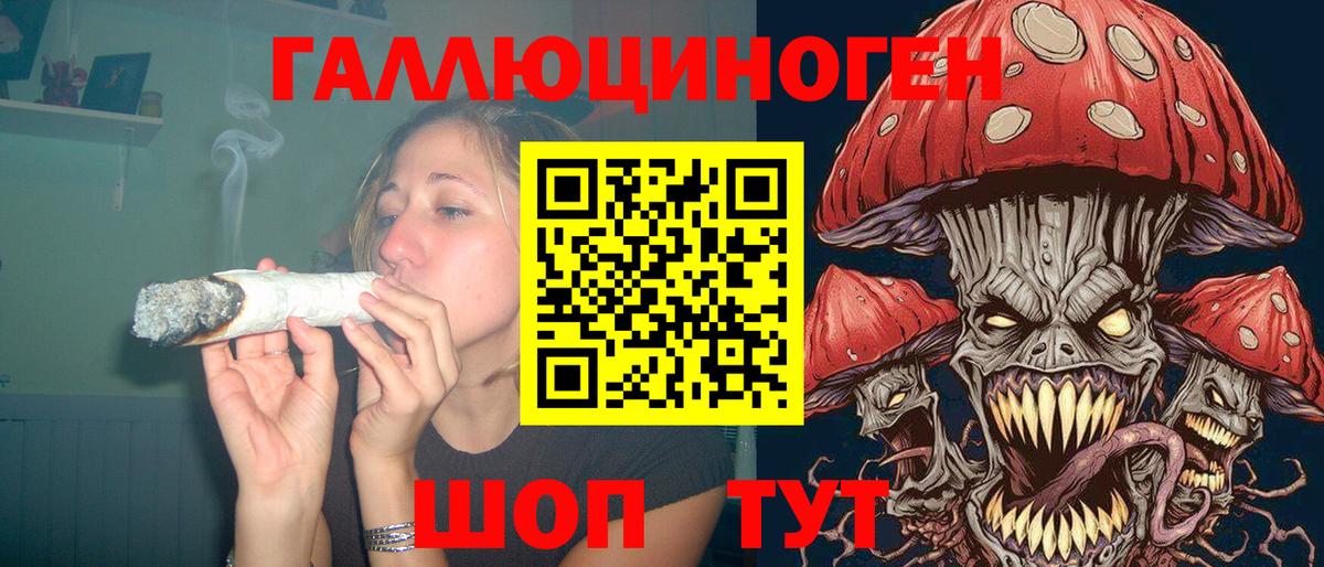 цена   Вход с VPN  Артём  Псилоцибиновые грибы Psilocybine cubensis 